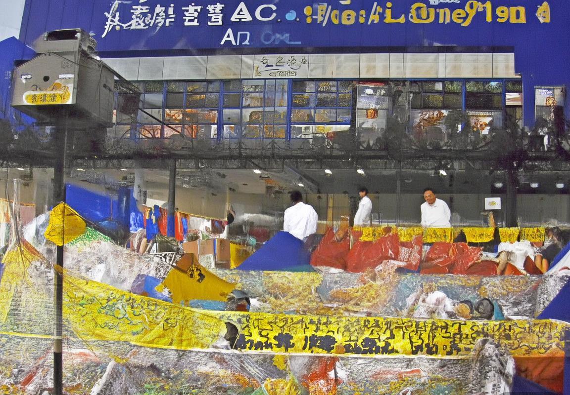 多纳鲁马：从青涩小将到足球巨星的成长之路